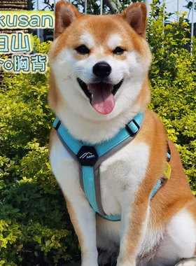日本Hakusan白山零压力Y字型中大小型犬狗狗柴犬背心式宠物胸背带