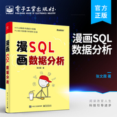 SQL数据分析从入门到精通 张文霖 数据分析技巧 漫画数据 社 官方旗舰店 电子工业出版 漫画SQL数据分析