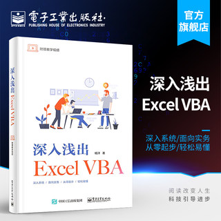 官方旗舰店 深入浅出Excel VBA  Excel VBA程序设计教程 Excel VBA编程 VBA格式排版文件管理窗体设计集合字典正则表达式