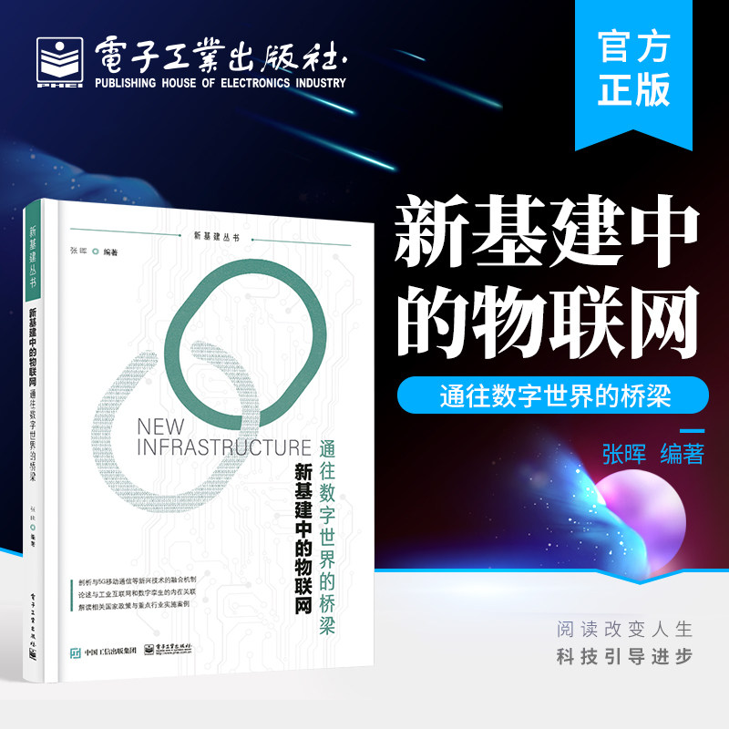官方旗舰店 新基建中的物联网 通往数字世界的桥梁 物联网新型基础设施建设政策与实施案例书籍 数字经济发展基础设施书 张晖