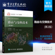 第二版 路由技术 交换技术和网络接入技术书籍 官方旗舰店 李丙春 第2版 网络工程专业路由与交换技术课程教材 编 路由与交换技术