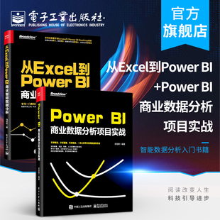 BI商业数据分析项目实战智能数据分析入门书籍操作教程Power Query数据查询工具 excel数据分析 从Excel到Power Power 官方正版