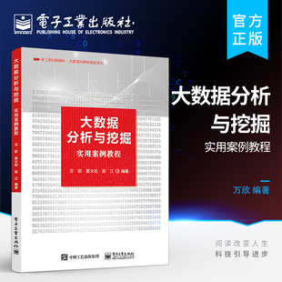 官方旗舰店 大数据分析与挖掘实用案例教程 大数据分析与挖掘基础 高等学校数据挖掘商务智能数据分析课程教材 电子工业出版社