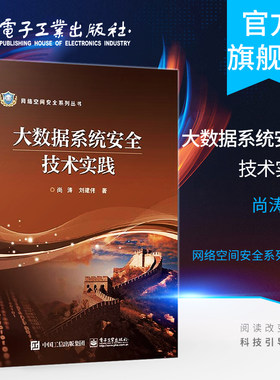 官方旗舰店 大数据系统安全技术实践 健康医疗大数据具体应用书籍 平台程序设计开发 数据隐cang与加密 网络安全 集群监控