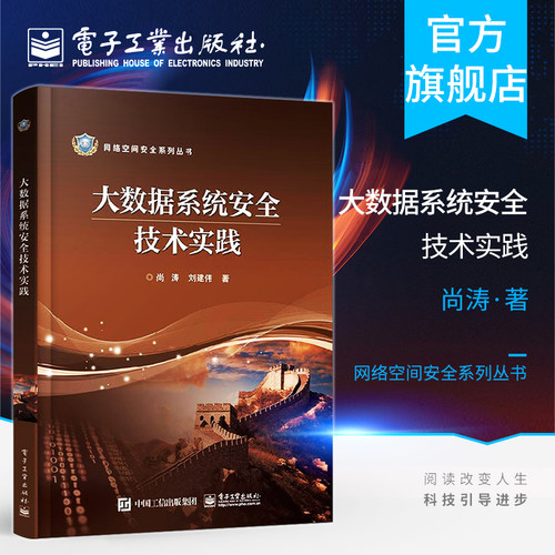 官方旗舰店 大数据系统安全技术实践 健康医疗大数据具体应用书籍 平台程序设计开发 数据隐cang与加密 网络安全 集群监控