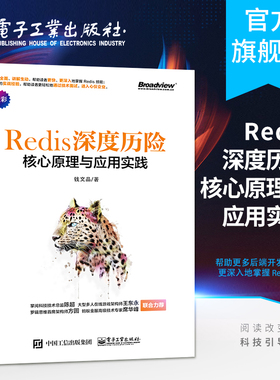 官方旗舰店 深度历险 核心原理与应用实践 钱文品 著 Redis教程 深入理解Redis技术原理 后端开发Redis设计与实现
