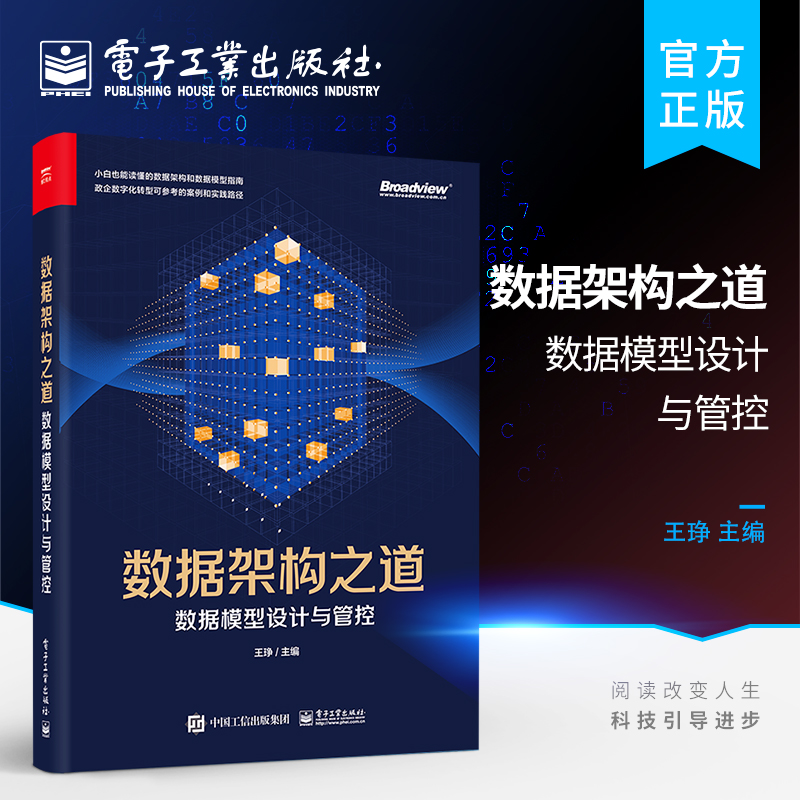 官方旗舰店 数据架构之道 数据模型设计与管控 数据模型从设计到落地及管控书 企业数据架构数据模型基础概念经典数据建模方法论