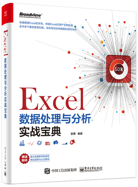 【按需印刷POD】 Excel数据处理与分析实战宝典 第2版 耿勇 Excel SQL数据透视表Power Query Power Pivot VBA应用Excel数据处理书
