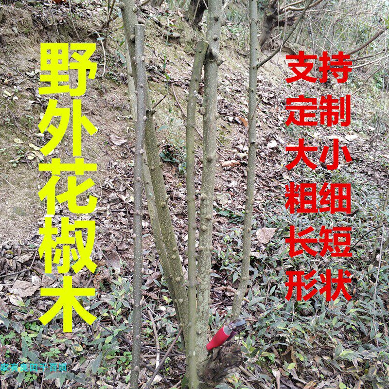 四川重庆花椒木棍棒条鸟笼站木调干花/花瓣/干花包/