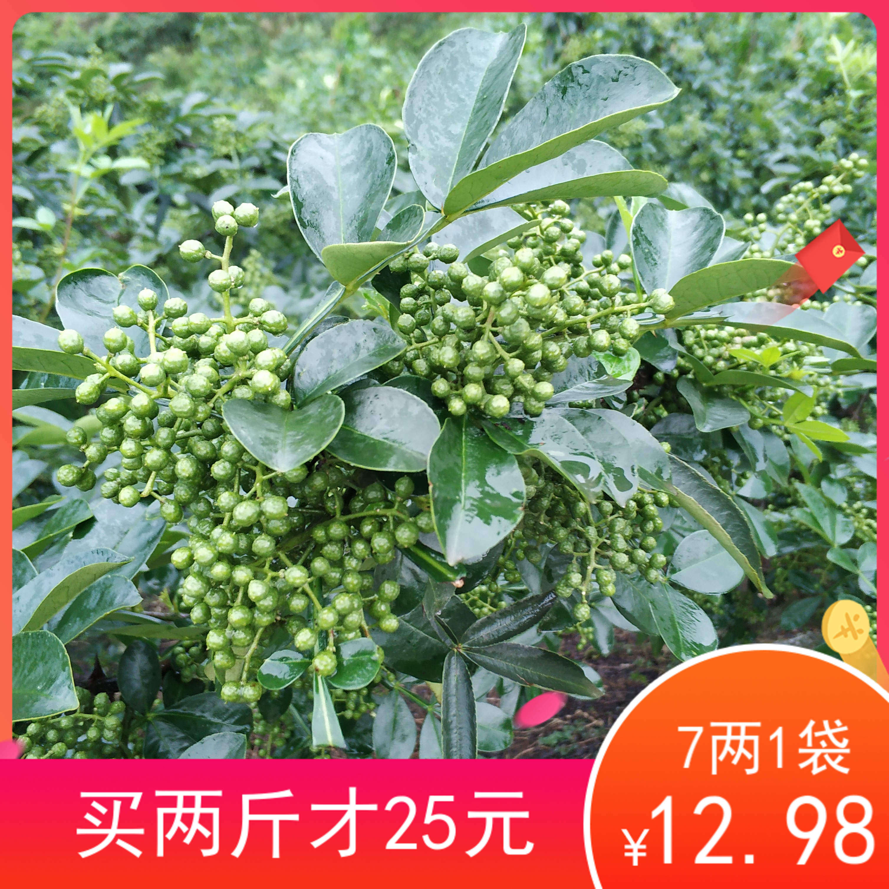 新鲜保鲜九叶青花椒腾藤椒绿麻椒鱼调料真空包四川重庆2025年新货