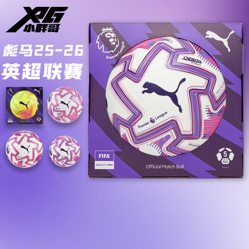 彪马Orbita英超联赛高端5号足球
