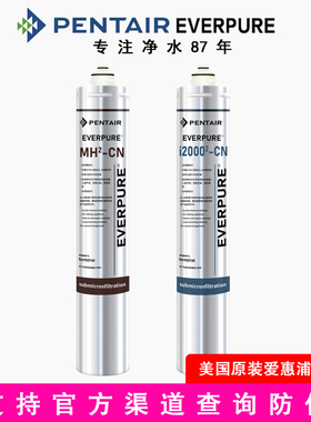 美国爱惠浦净水器主滤芯I20002CN I40002 MH2CN滤芯超滤直饮滤芯