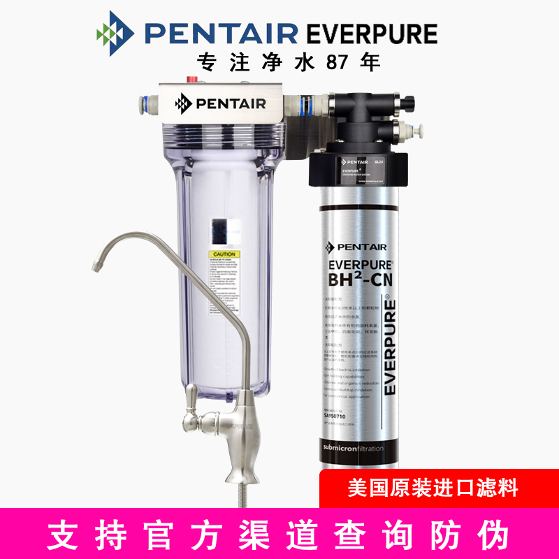 爱惠浦净水器BH2家用直饮机过滤器北方专用去除水垢EV9612-50滤芯 厨房电器 净水器 原图主图