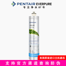 滨特尔爱惠浦净水器H100滤芯H104主滤芯EVP-6000 EVP3000EV961116