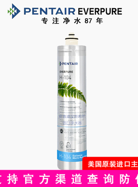 滨特尔爱惠浦净水器H100滤芯H104主滤芯EVP-6000 EVP3000EV961116