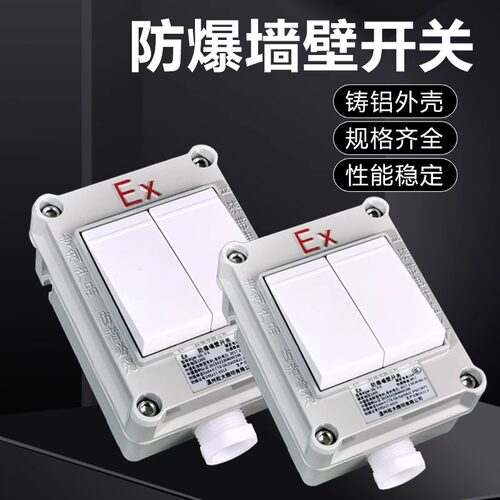 防爆墙壁开关熔断路器86型明装单开双开10A20A工厂房车间220V380V