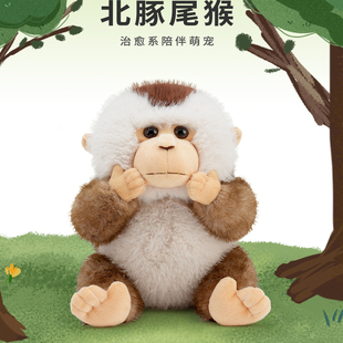 抱抱宝贝仿真可爱金丝猴毛绒玩具猕猴玩偶小猴子公仔儿童睡觉抱枕