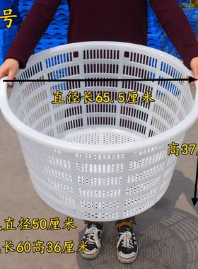 圆形白色西瓜鱼虾葡萄萝框水果筐