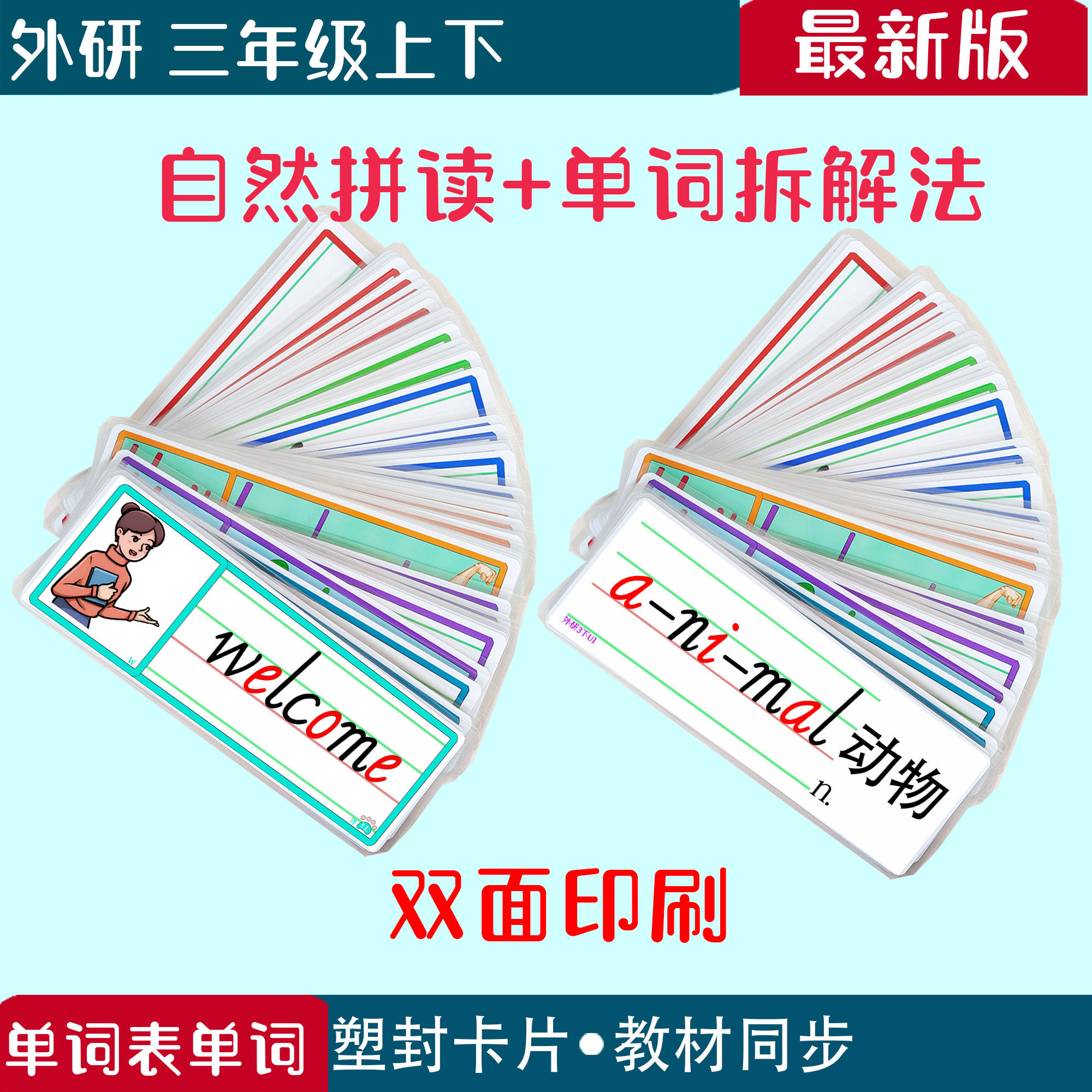 外研版小学英语单词教师老师卡片