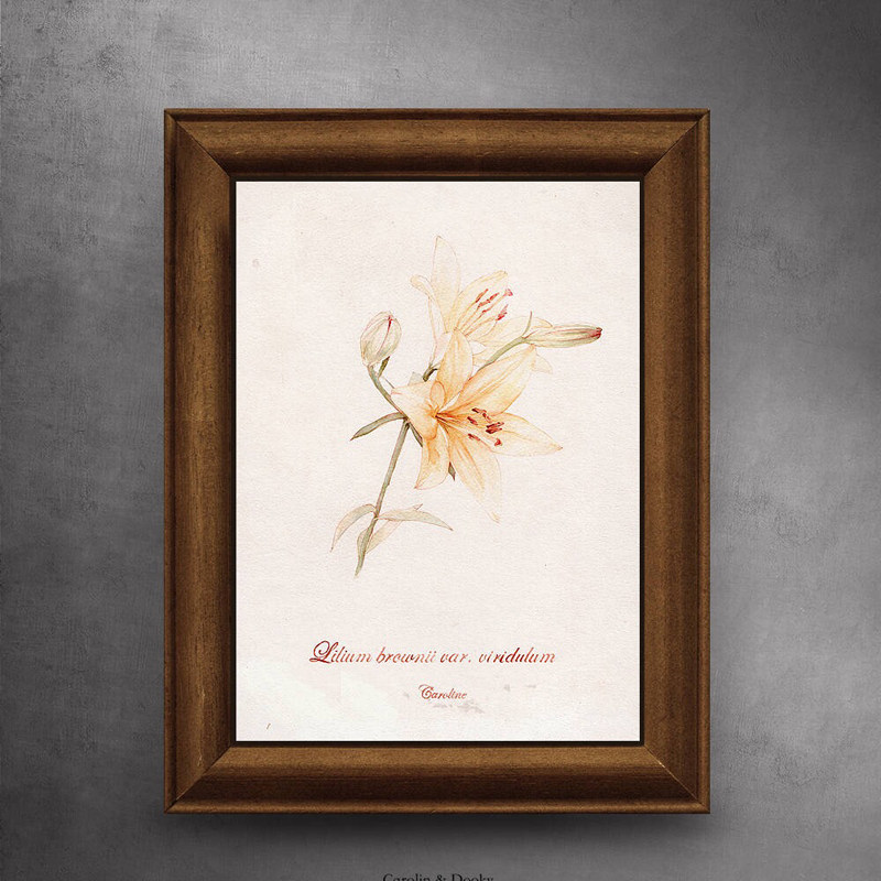 水彩植物画像定制真人照片手绘画素描彩铅肖像画桌摆相框生日礼物