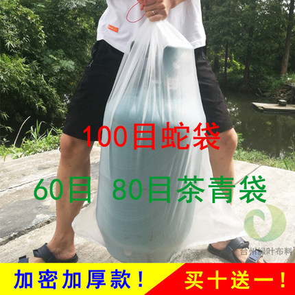 蛇袋网茶青袋塑料编织透气尼龙网袋80100目加厚款60目