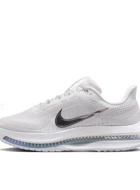 Nike Pegasus Premium 飞马 白色/金属银HQ2593-102济南ls