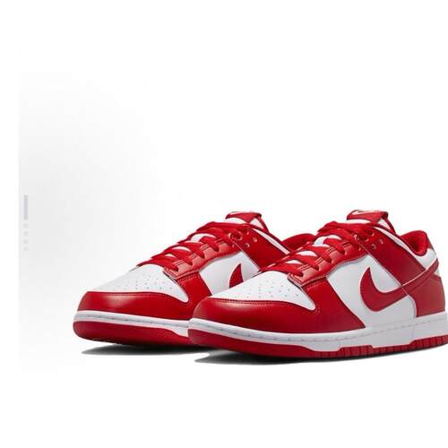 Nike Dunk 皮革 Low Retro 低帮 板鞋 男女同款 红白色HF5441-104