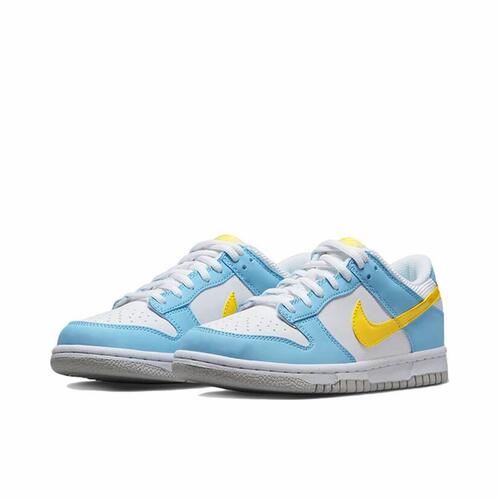 Nike Dunk 休闲 可回收材料GS 板鞋 男女同款DX3382-400