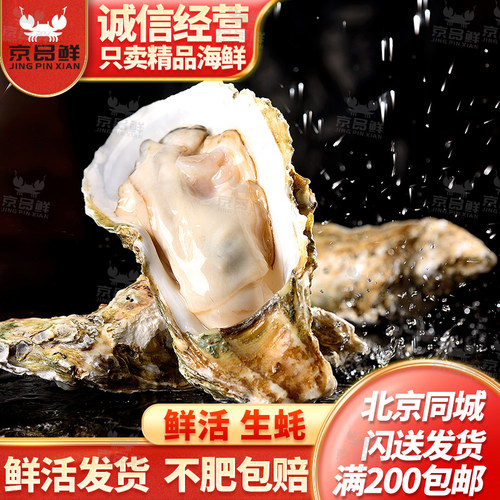鲜活生蚝默认杀好发货新鲜