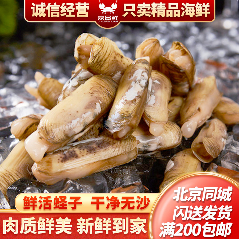 无沙蛏子鲜活北京闪送新鲜海鲜图片