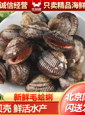 北京闪送 500g 毛钳 新鲜毛蛤蜊海鲜 贝壳 鲜活水产