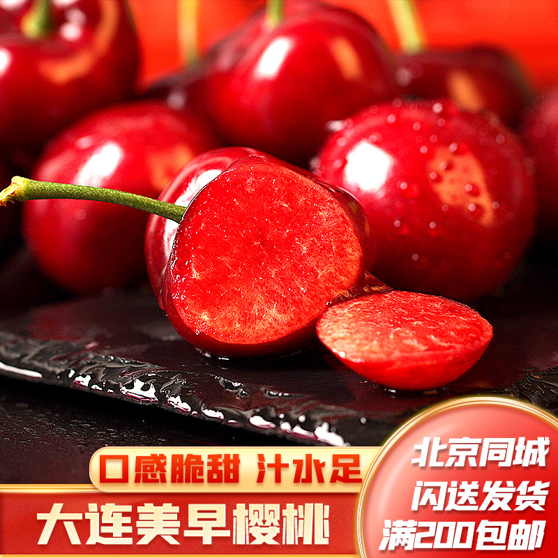 大连美早樱桃2.3斤左右口感脆甜