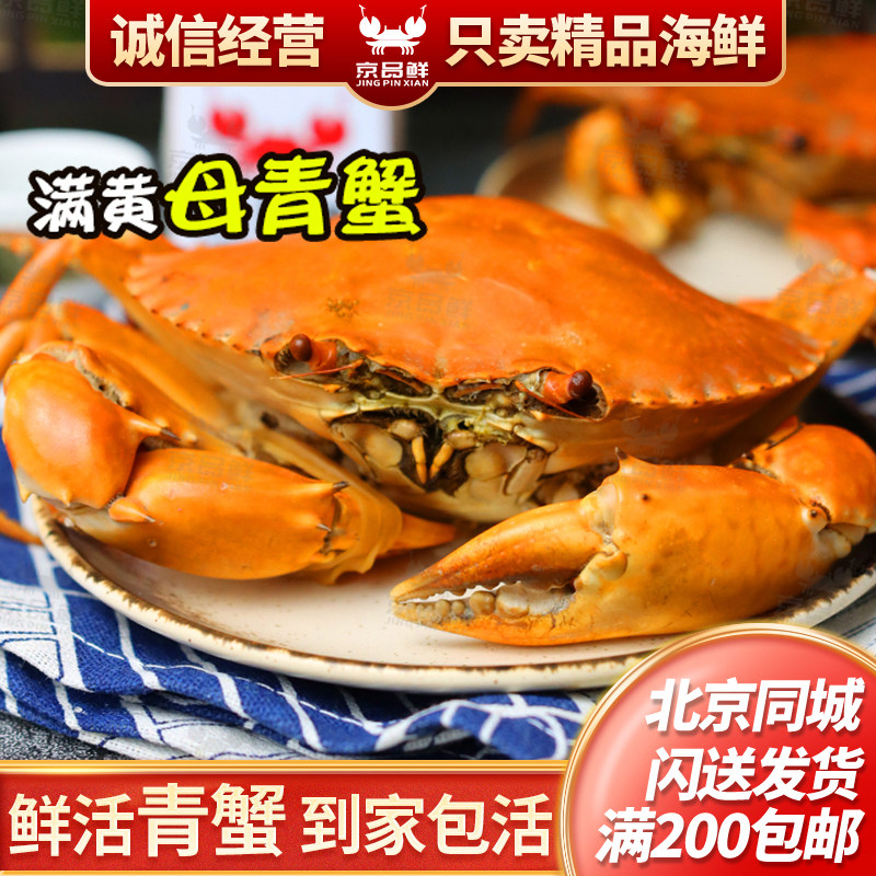 满黄青蟹三门青蟹北京海鲜闪送图片