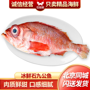 北京闪送冰鲜石九公鱼约450g煮汤肉质清甜
