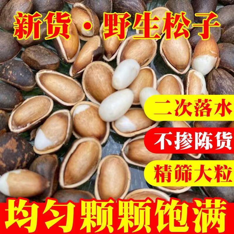 新鲜生松子湿松子甘肃深山野生松子原味薄皮落水松子孕妇坚果零食