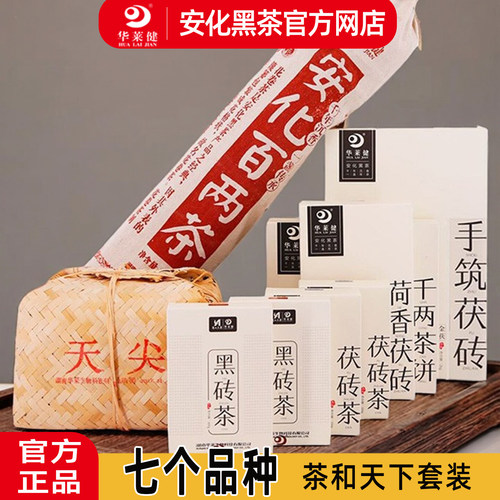 湖南安化黑茶华莱健百两千两直销