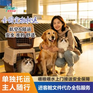 宠物托运服务全国猫咪狗狗空运随机进客舱手续办理上海北京深圳飞
