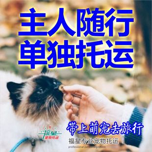 宠物托运服务全国空运狗狗猫咪随机进客舱手续办理上海北京深圳