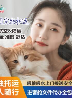猫有氧舱随机陪同进客舱专车运输