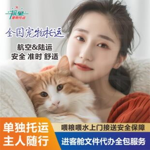 宠物托运服务全国运输猫咪狗空运随机人宠同行进客舱手续上海北京