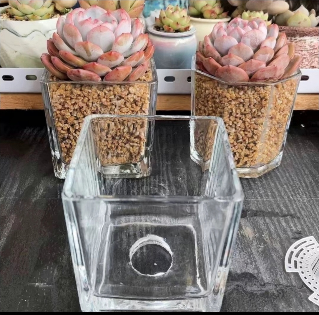 多肉正方形透明玻璃带孔蝴蝶兰种植透明加厚花盆有孔玻璃花盆土培