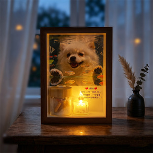 猫咪狗狗纪念相框宠物离世纪念相框定制照片毛发收藏保存瓶纪念品