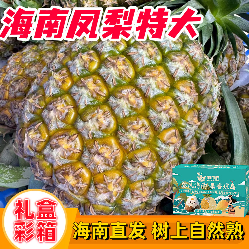 【礼盒彩箱】海南凤梨特大金钻17号手撕冬蜜芒果热带水果应季孕妇