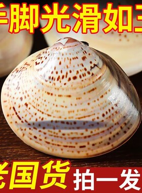 老牌上海蛤蜊护手霜国货贝壳防裂干裂嘎啦手油老式口子油歪子蚌壳