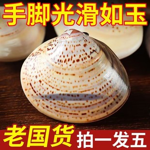 老牌上海蛤蜊护手霜国货贝壳防裂干裂嘎啦手油老式口子油歪子蚌壳