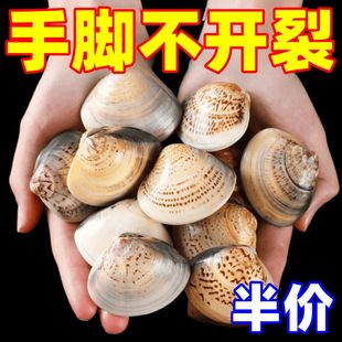 老上海蛤蜊油护手霜冬天常备防冻防裂干裂手油老式嘎啦油歪子油