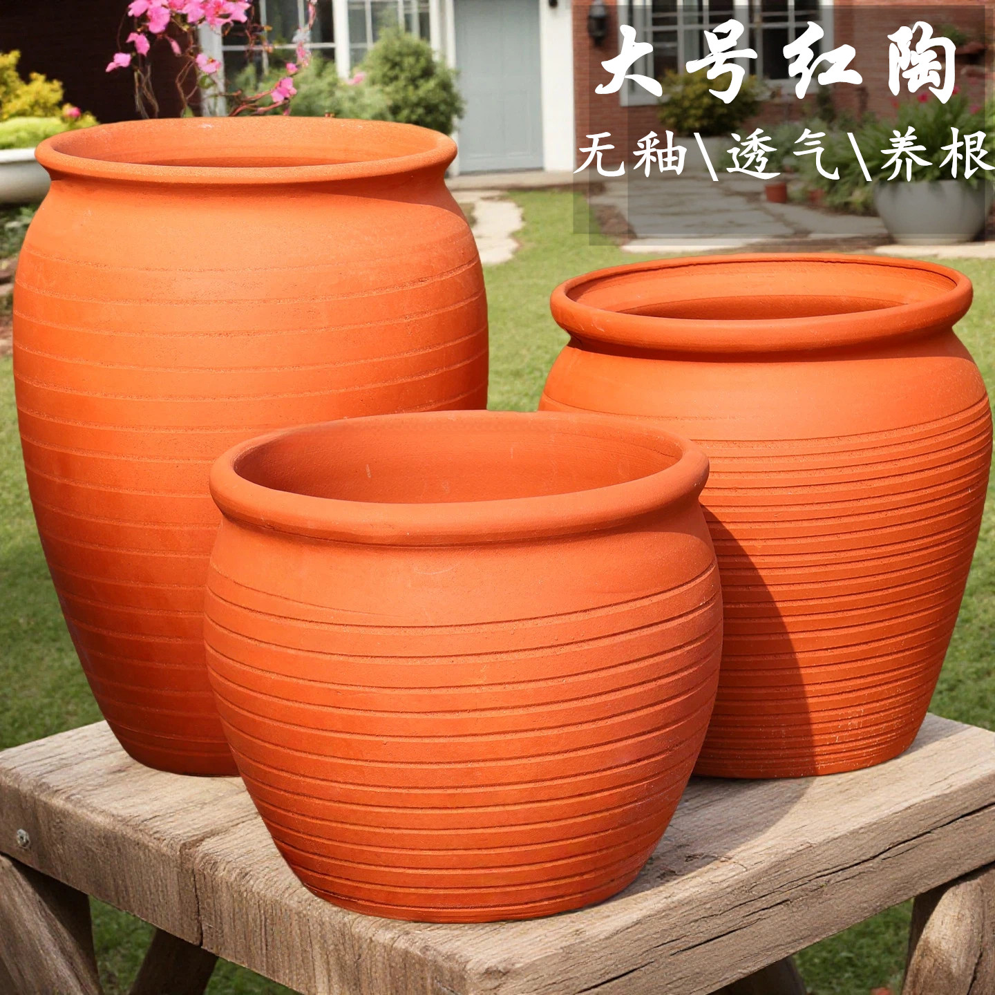 大号红陶花盆粗陶多肉花盆
