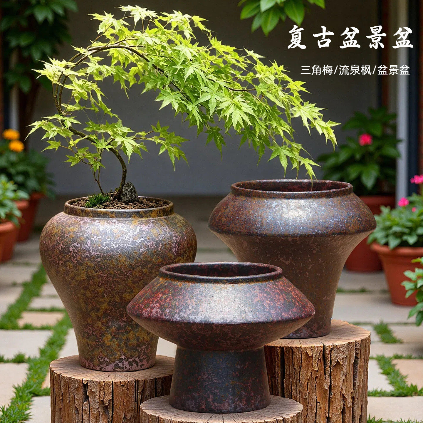 复古陶瓷花盆三角梅流泉枫盆景盆图片