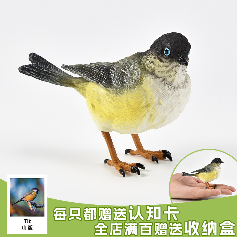 实心儿童仿真动物模型套装动物玩具山雀科鸣禽今鸟类早教认知礼物