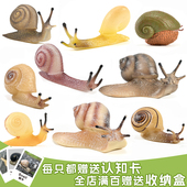 仿真蜗牛玩具昆虫模型蜗牛套装 微景观沙盘摆件儿童科教认知礼物